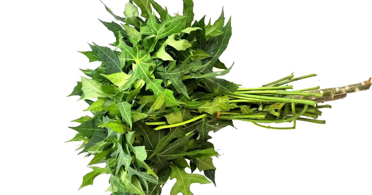 Checklist penilaian pemasok sayur dan buah untuk usaha