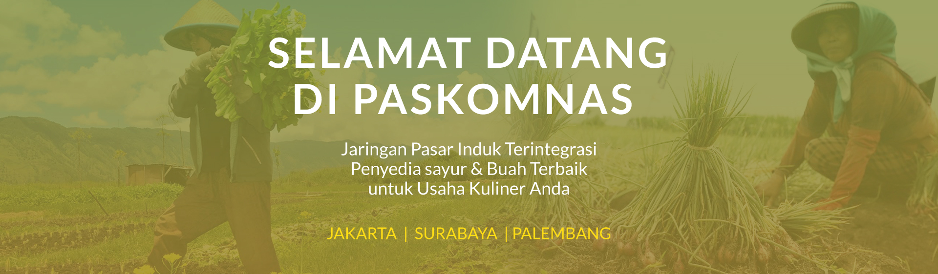 Paskomnas Banner